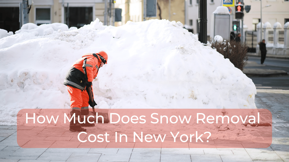 Snow Removal cost