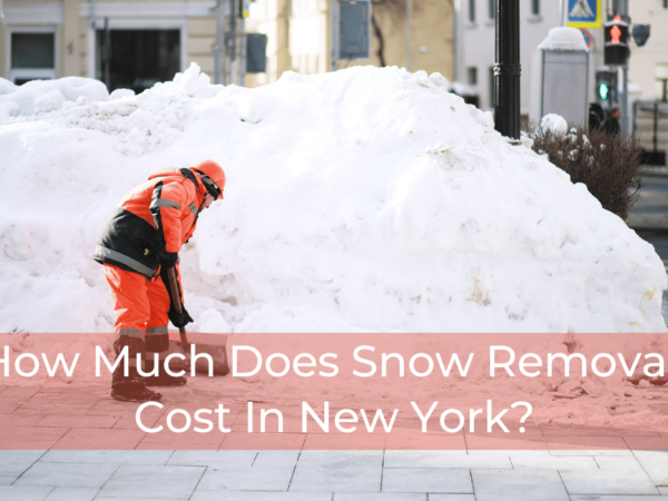 Snow Removal cost