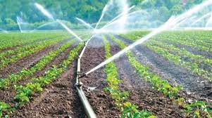Micro Irrigation Systems Market Types